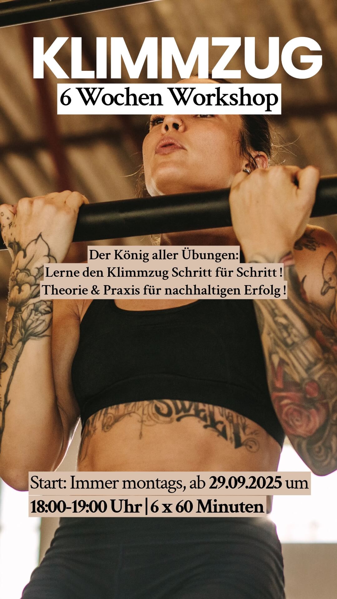 Kurse-5-Six Pack Stele-2
